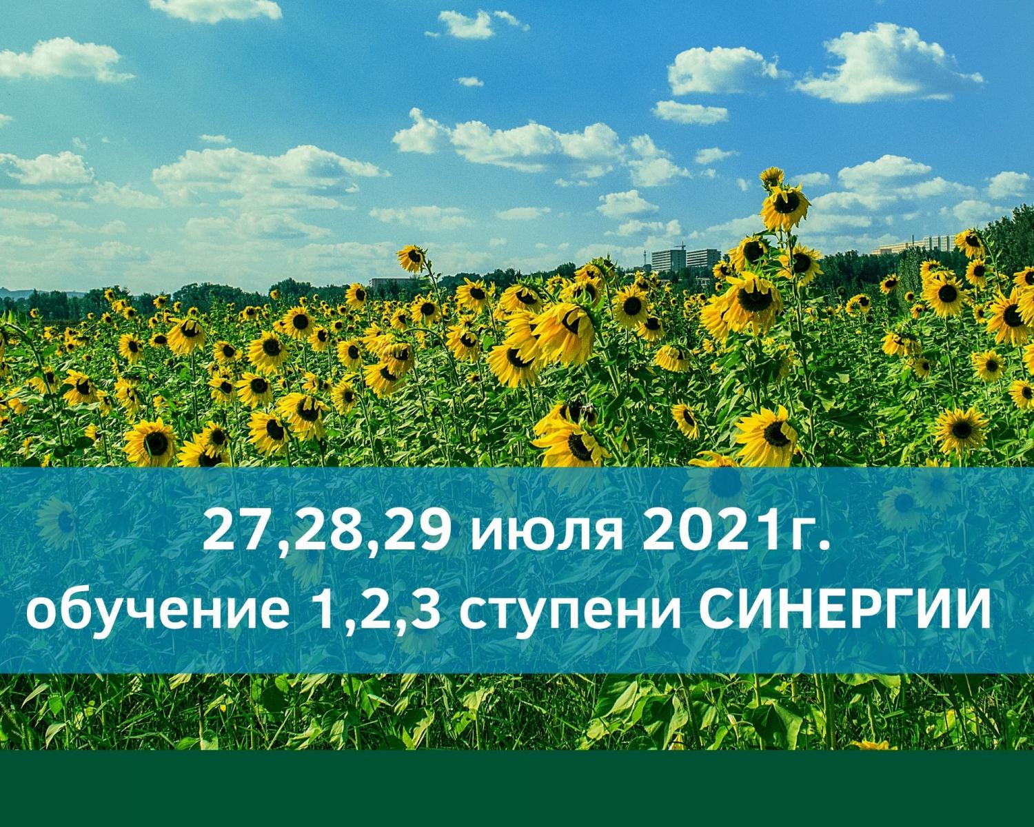 Обучение методу Синергия 27,28,29 июля 2021г