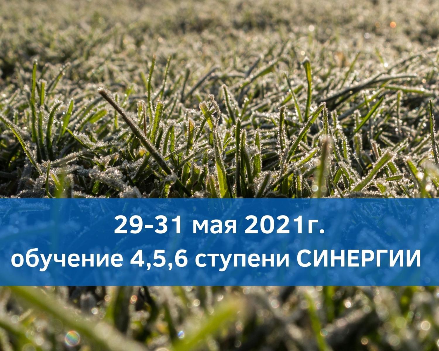 Обучение методу Синергия 29,30,31 мая 2021г