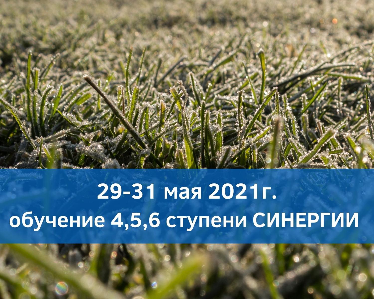 Обучение методу Синергия  29,30,31 мая 2021г