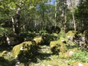 Альпы (Бавария, Германия)