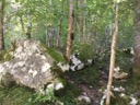 Альпы (Бавария, Германия)