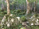 Альпы (Бавария, Германия)
