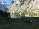 Альпы (Бавария, Германия)