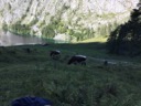 Альпы (Бавария, Германия)