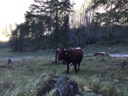 Альпы (Бавария, Германия)