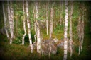 Экспедиция на Воттоваару, август 2015 г.