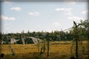 Экспедиция на Воттоваару, август 2015 г.